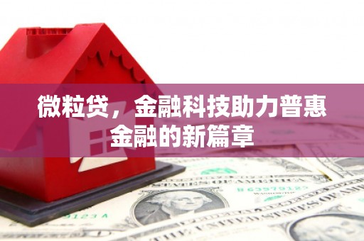 湖州微粒贷，金融科技助力普惠金融的新篇章