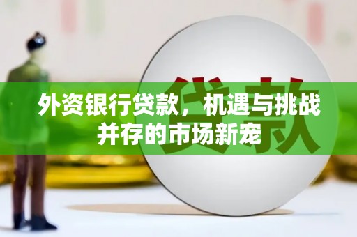 沁县外资银行贷款，机遇与挑战并存的市场新宠