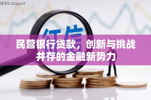 怀化民营银行贷款，创新与挑战并存的金融新势力