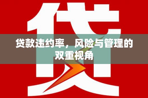 九江贷款违约率，风险与管理的双重视角
