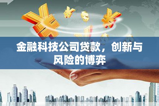 峨边金融科技公司贷款，创新与风险的博弈