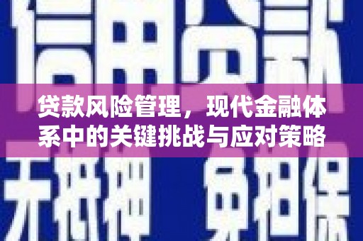 洋山贷款风险管理，现代金融体系中的关键挑战与应对策略