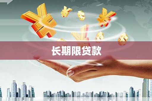 盖州长期限贷款