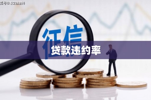 特克斯贷款违约率