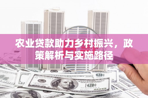 营口农业贷款助力乡村振兴，政策解析与实施路径