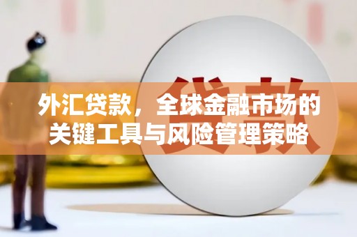 响水外汇贷款，全球金融市场的关键工具与风险管理策略
