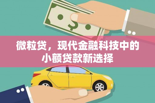台东微粒贷，现代金融科技中的小额贷款新选择