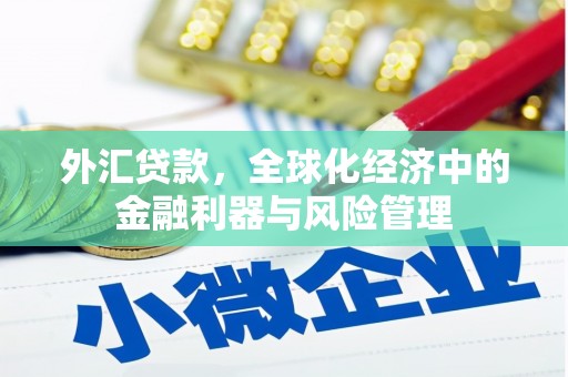 峨边外汇贷款，全球化经济中的金融利器与风险管理