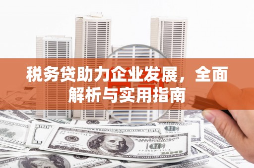 东乌旗税务贷助力企业发展，全面解析与实用指南