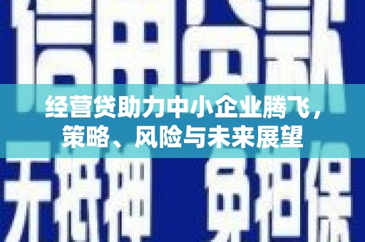 浉河经营贷助力中小企业腾飞，策略、风险与未来展望