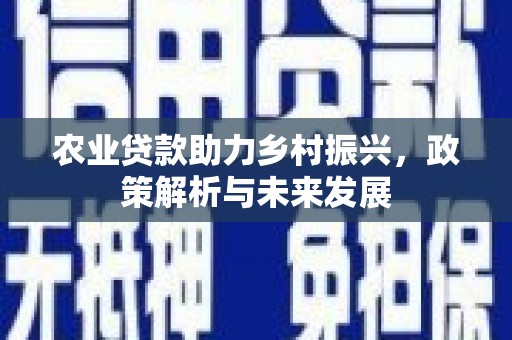 三沙农业贷款助力乡村振兴，政策解析与未来发展