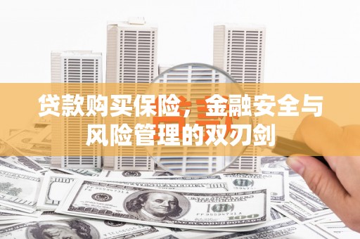 秀山贷款购买保险，金融安全与风险管理的双刃剑