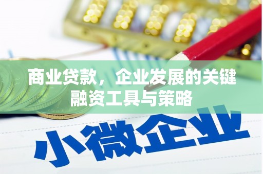 安乡商业贷款，企业发展的关键融资工具与策略
