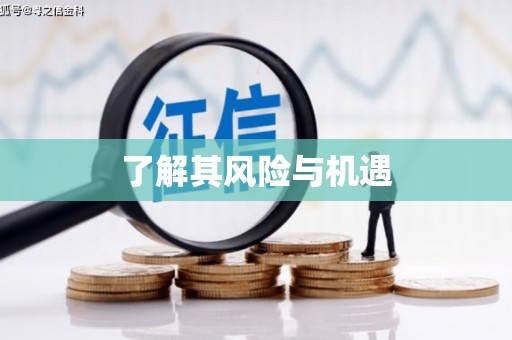淮安了解其风险与机遇