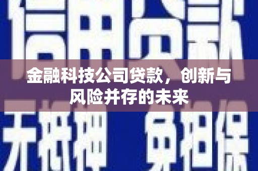 城关金融科技公司贷款，创新与风险并存的未来