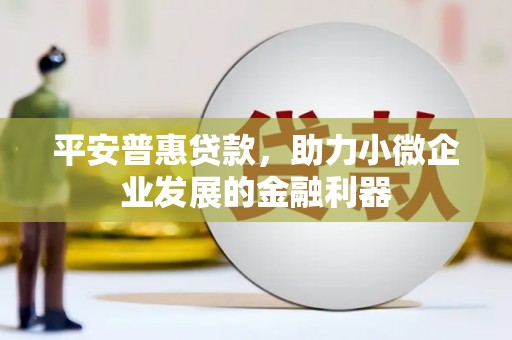 巧家平安普惠贷款，助力小微企业发展的金融利器