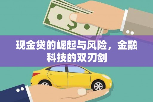 山阳现金贷的崛起与风险，金融科技的双刃剑