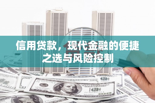 顺昌信用贷款，现代金融的便捷之选与风险控制