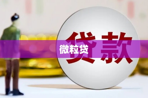 连云微粒贷