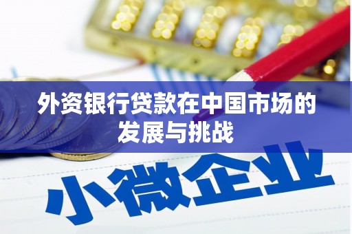 迭部外资银行贷款在中国市场的发展与挑战