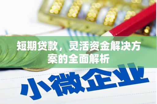 遂昌短期贷款，灵活资金解决方案的全面解析