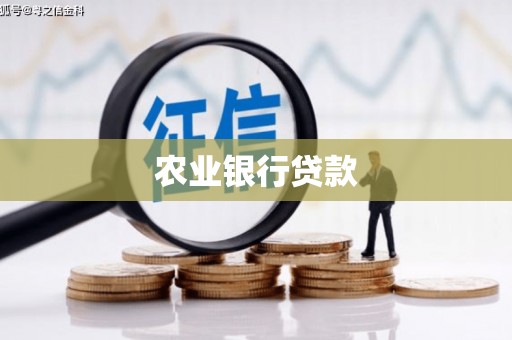 坪林农业银行贷款