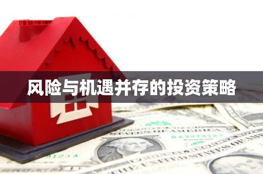 桃江风险与机遇并存的投资策略