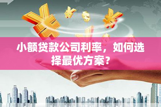 苍南小额贷款公司利率，如何选择最优方案？