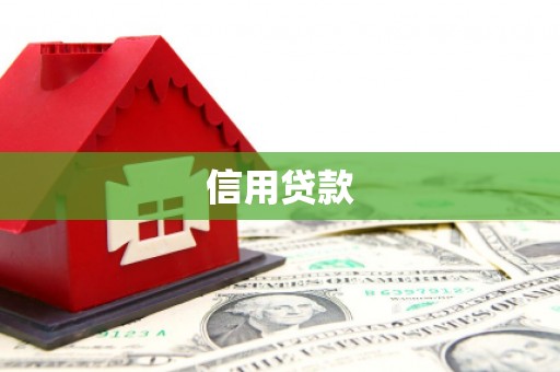 芙蓉信用贷款