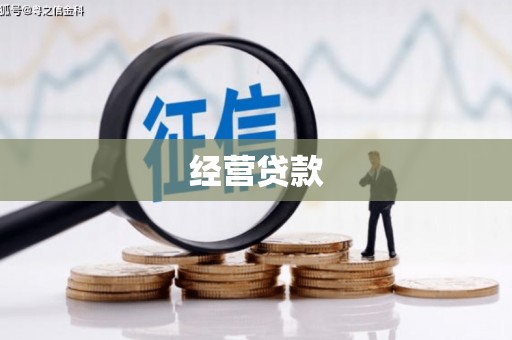 公安经营贷款