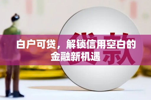 应县白户可贷，解锁信用空白的金融新机遇