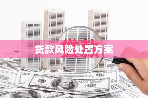 浦江贷款风险处置方案