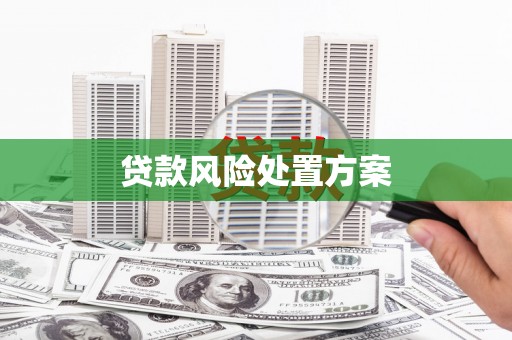 岳池贷款风险处置方案