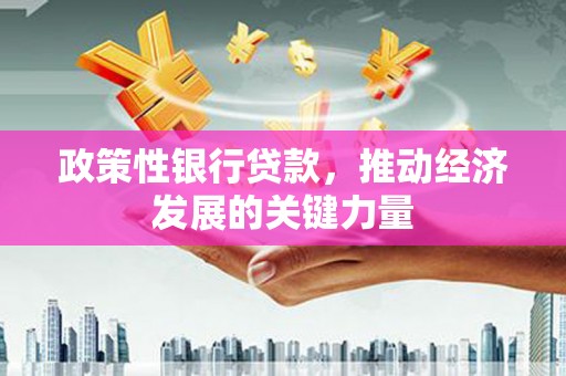 宝兴政策性银行贷款，推动经济发展的关键力量