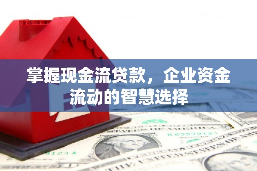 舞钢掌握现金流贷款，企业资金流动的智慧选择