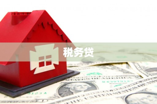 忻府税务贷