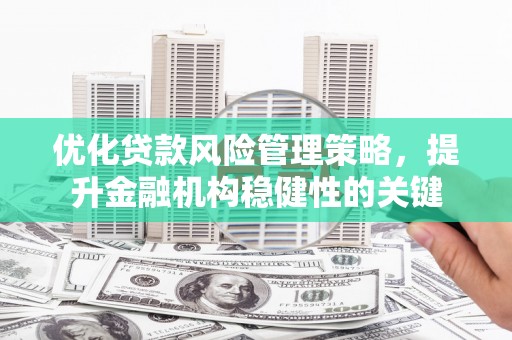 攸县优化贷款风险管理策略，提升金融机构稳健性的关键