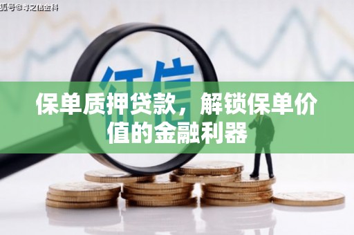 龙沙保单质押贷款，解锁保单价值的金融利器