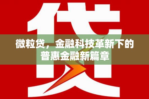 和静微粒贷，金融科技革新下的普惠金融新篇章