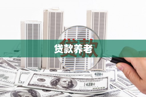 贺兰贷款养老