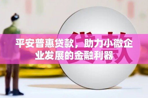 巴中平安普惠贷款，助力小微企业发展的金融利器