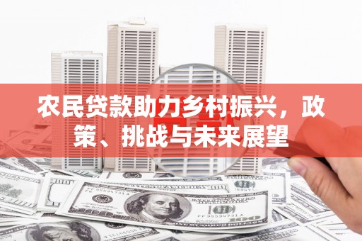 保亭农民贷款助力乡村振兴，政策、挑战与未来展望