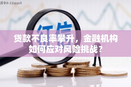 濉溪贷款不良率攀升，金融机构如何应对风险挑战？