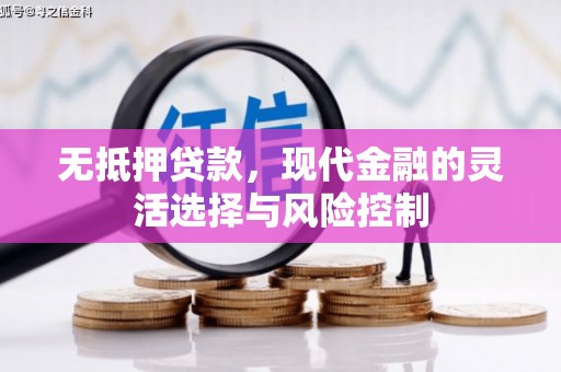 洛川无抵押贷款，现代金融的灵活选择与风险控制