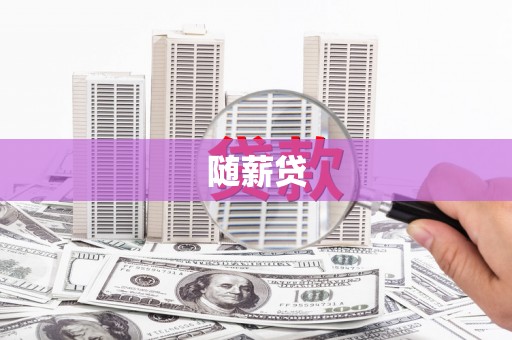 民和随薪贷