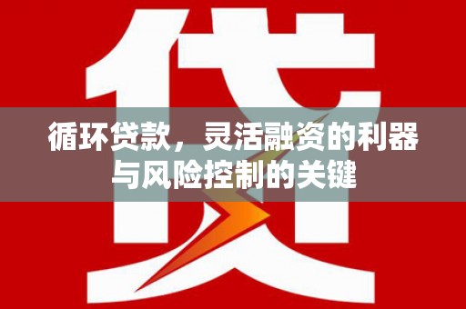张家港循环贷款，灵活融资的利器与风险控制的关键