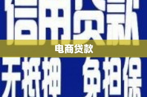 海端电商贷款