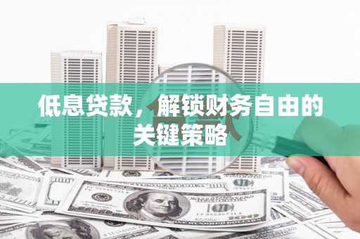 曲麻莱低息贷款，解锁财务自由的关键策略