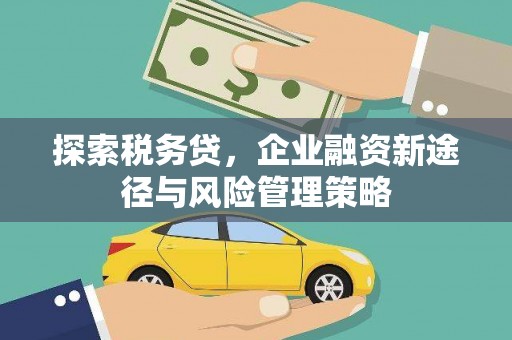贵溪探索税务贷，企业融资新途径与风险管理策略