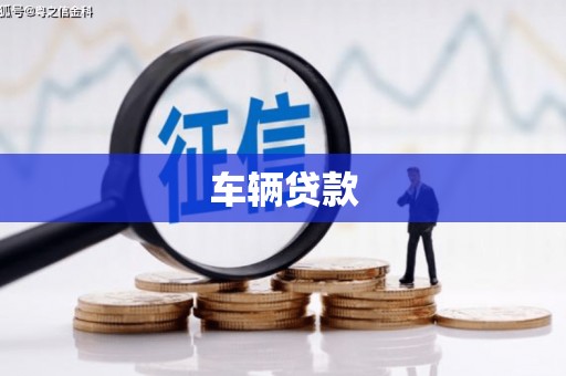 涡阳车辆贷款